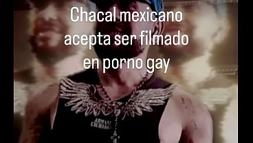 Chacal acepta ser filmado en video gay morboso donde es humillado por tener pito chico y le dicen que se meta un dildo y después lo chupe con los jugos de su apretado culo virgen